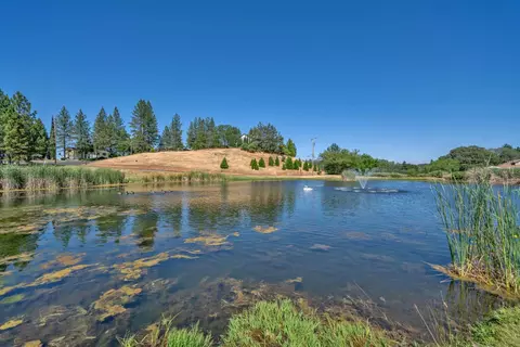 View/Area - 1502 Paymaster Ct, Cool, CA 95614 photo 3 of 5
