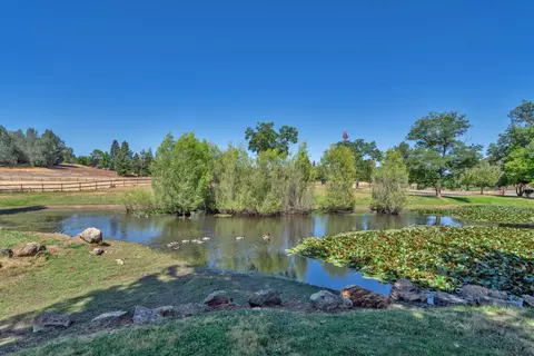 Other - 1502 Paymaster Ct, Cool, CA 95614 photo 15 of 15