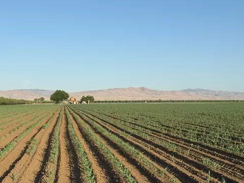 19054 Ca-33, Crows Landing, CA 95313 photo 17