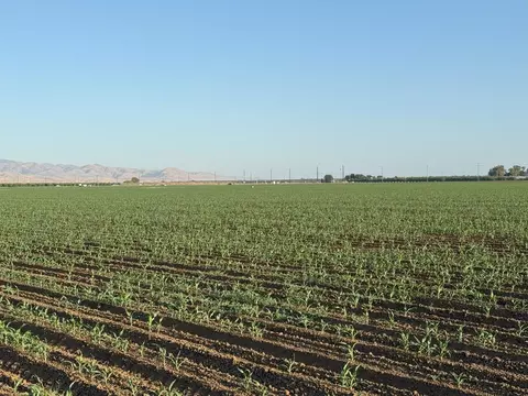 19054 Ca-33, Crows Landing, CA 95313 photo 18