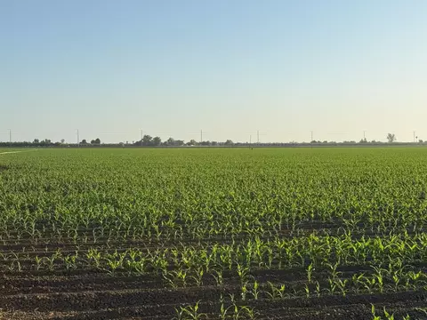 19054 Ca-33, Crows Landing, CA 95313 photo 15