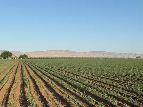 19054 Ca-33, Crows Landing, CA 95313 photo 19