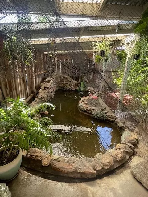 3017 Maplenut Ave, Modesto, CA 95350 photo 16