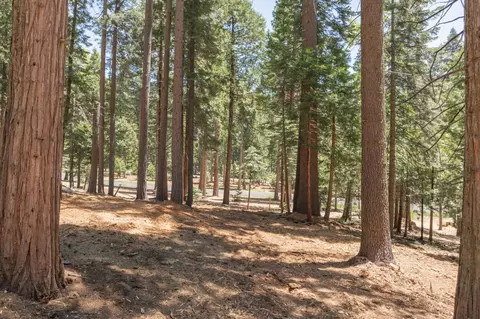 3043 Shoshone Dr, Camp Connell, CA 95223