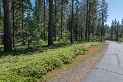 0 Vireo Way, Avery, CA 95224 photo 7