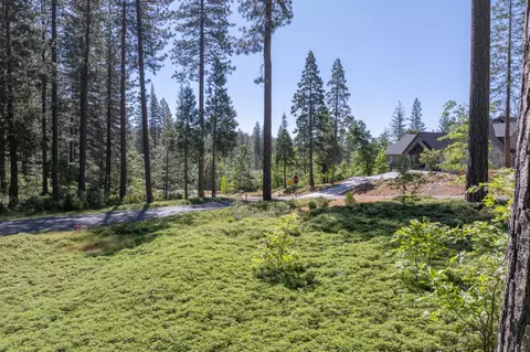 0 Vireo Way, Avery, CA 95224