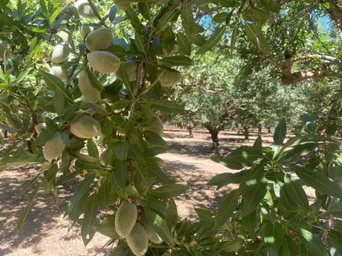 6919 Yosemite Blvd, Modesto, CA 95357 photo 3