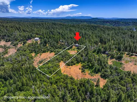 View/Area - 24835 Shake Ridge Rd, Volcano, CA 95689 photo 4 of 5