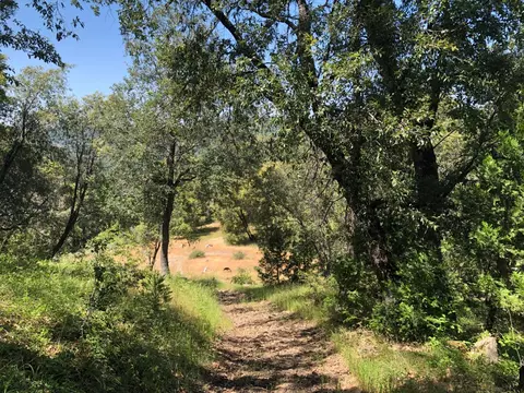 Other - 24835 Shake Ridge Rd, Volcano, CA 95689 photo 13 of 13