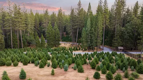 Other - 5860 Shoo Fly Rd, Placerville, CA 95667 photo 19 of 21