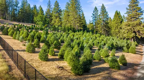 Other - 5860 Shoo Fly Rd, Placerville, CA 95667 photo 11 of 21
