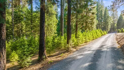 Other - 5860 Shoo Fly Rd, Placerville, CA 95667 photo 13 of 21