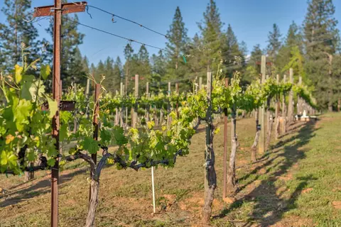 Other - 2399 Kingsgate Rd, Placerville, CA 95667 photo 13 of 17