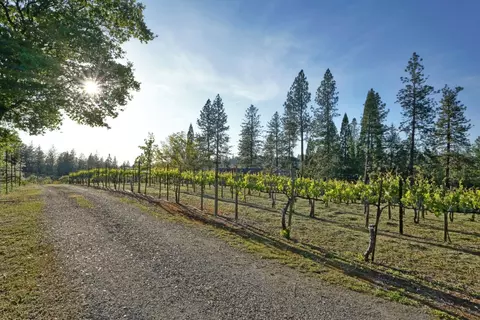 Other - 2399 Kingsgate Rd, Placerville, CA 95667 photo 11 of 17