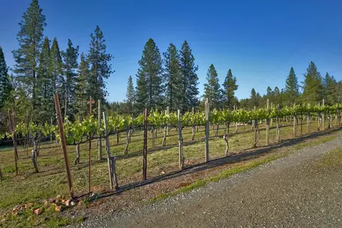 Exterior - 2399 Kingsgate Rd, Placerville, CA 95667 photo 33 of 41