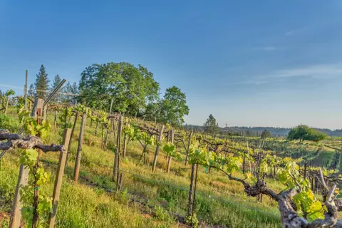 Other - 2399 Kingsgate Rd, Placerville, CA 95667 photo 14 of 17