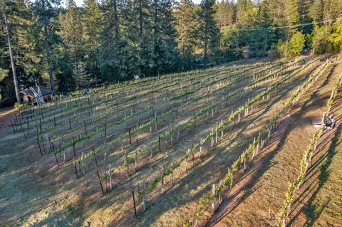 Other - 2399 Kingsgate Rd, Placerville, CA 95667 photo 8 of 17