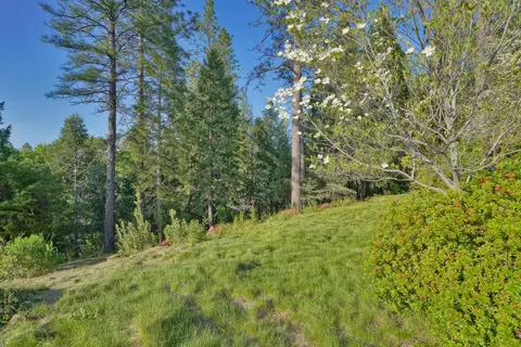 Exterior - 2399 Kingsgate Rd, Placerville, CA 95667 photo 30 of 41