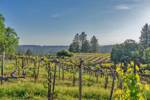 Other - 2399 Kingsgate Rd, Placerville, CA 95667 photo 12 of 17