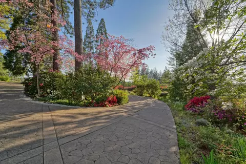 Exterior - 2399 Kingsgate Rd, Placerville, CA 95667 photo 5 of 41