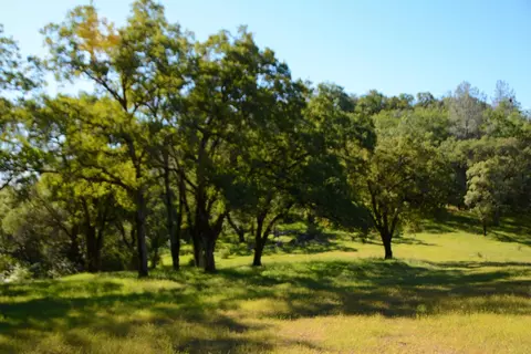 14210 Perimeter Rd, Grass Valley, CA 95949 photo 43