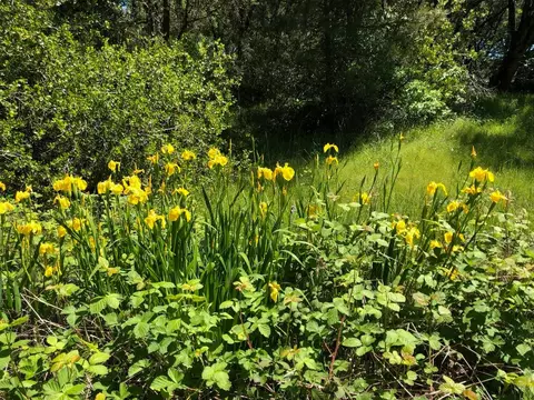 14210 Perimeter Rd, Grass Valley, CA 95949 photo 12