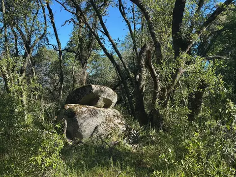 14210 Perimeter Rd, Grass Valley, CA 95949 photo 18