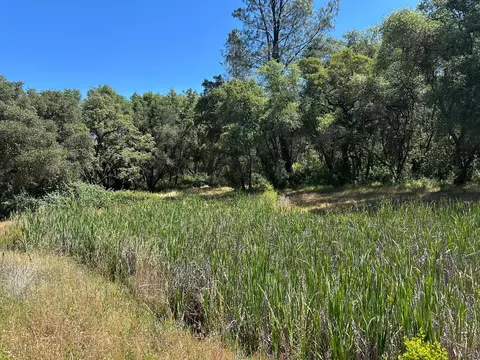 14210 Perimeter Rd, Grass Valley, CA 95949 photo 10