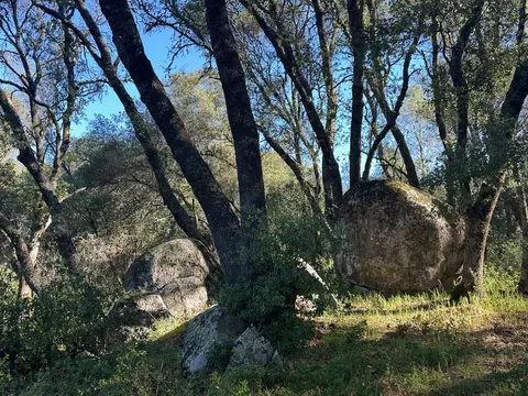 14210 Perimeter Rd, Grass Valley, CA 95949 photo 19