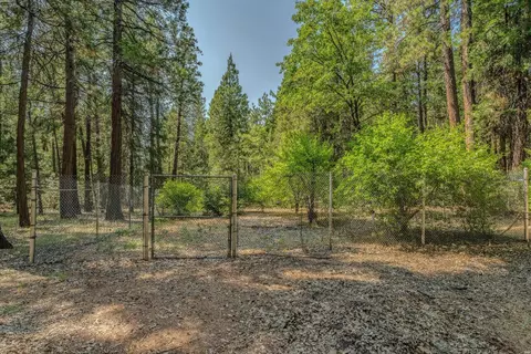 23761 Shake Ridge Rd, Volcano, CA 95689 photo 4