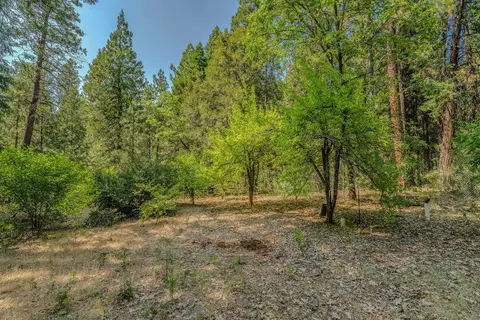 23761 Shake Ridge Rd, Volcano, CA 95689 photo 24