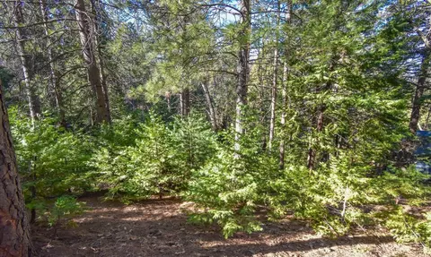 24184 Awahanee Rd, Sonora, CA 95370 photo 9