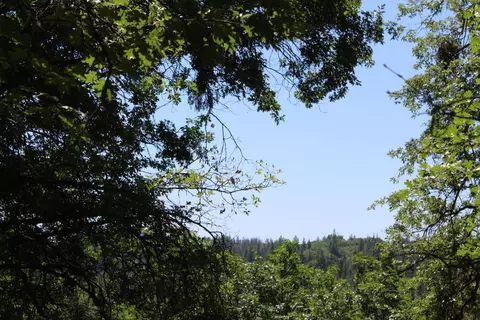 21785 Highway 26, West Point, CA 95255