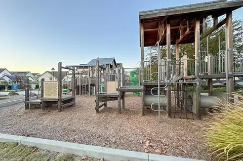 903 Red Currant Ter, Davis, CA 95616 photo 42