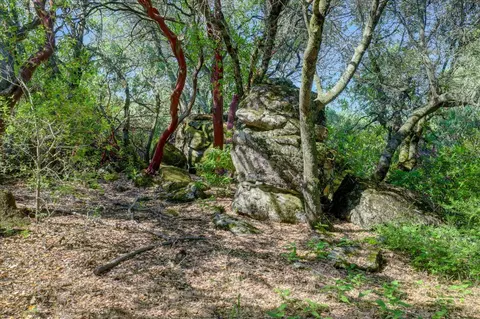 Exterior - 13994 Chukar Dr, Grass Valley, CA 95949 photo 2 of 30