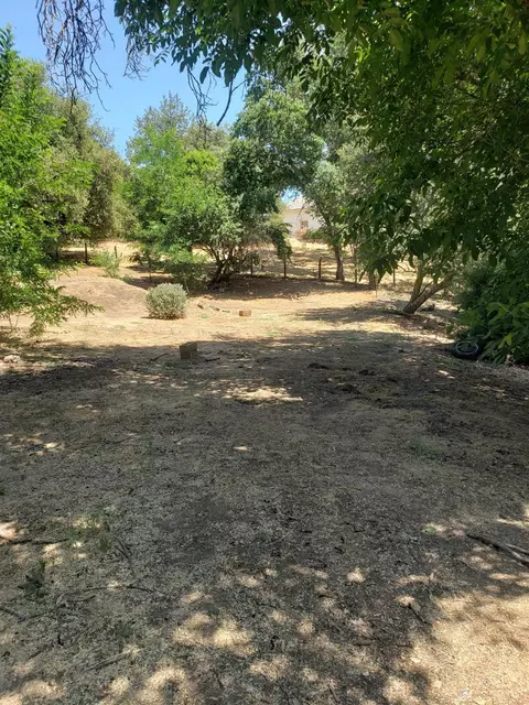 1420 Jackson Gate Rd, Jackson, CA 95642 photo 22