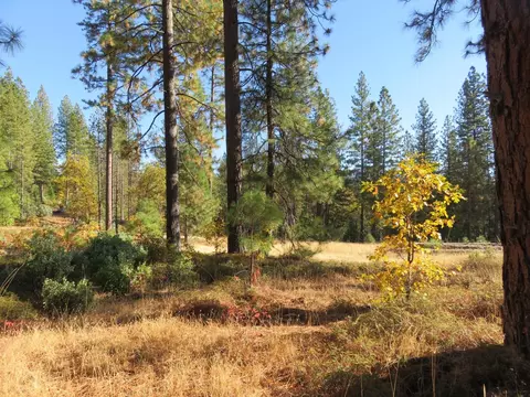 8900 Bailey Ridge Rd, West Point, CA 95255 photo 35