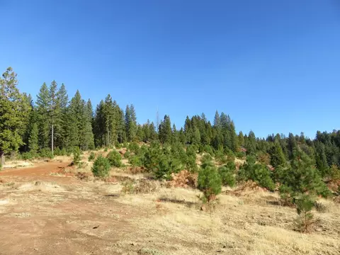 8900 Bailey Ridge Rd, West Point, CA 95255 photo 40
