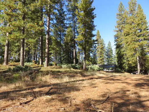 8900 Bailey Ridge Rd, West Point, CA 95255 photo 37