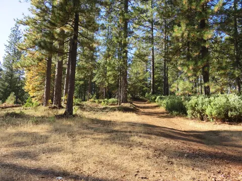 8900 Bailey Ridge Rd, West Point, CA 95255 photo 34