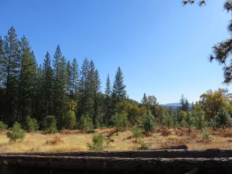 8900 Bailey Ridge Rd, West Point, CA 95255 photo 36