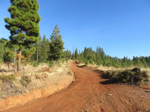 8900 Bailey Ridge Rd, West Point, CA 95255 photo 39