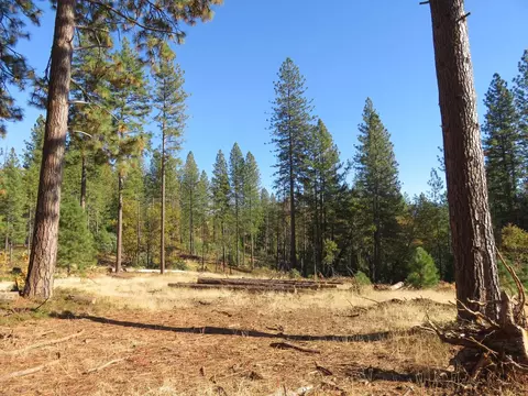 8900 Bailey Ridge Rd, West Point, CA 95255 photo 38