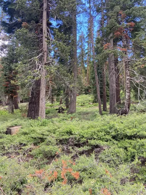 20621 Us Highway 50, South Lake Tahoe, CA 96150