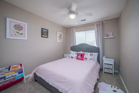 3300 Cardinal Flower Ave, Modesto, CA 95355 photo 24