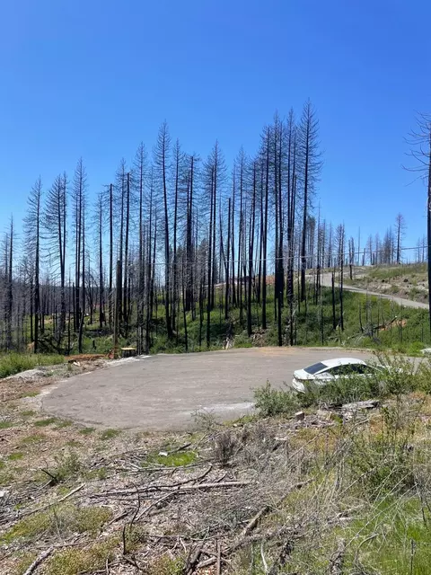 4905 Deerwood Ct, Grizzly Flats, CA 95636