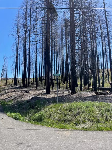 5106 Parkside Dr, Grizzly Flats, CA 95636