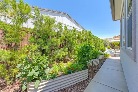 Exterior - 4252 Grey Hawk St, Folsom, CA 95630 photo 9 of 25