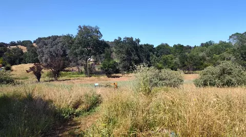 3307 Hamblen, Cool, CA 95614 photo 5