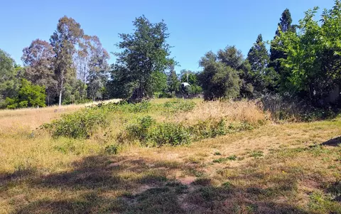 3307 Hamblen, Cool, CA 95614 photo 3